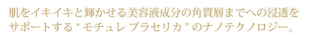 肌をイキイキと輝かせる美容液成分の角質層までへの浸透をサポートする「フォードヘア化粧品 モチュレ プラセリカ」のナノテクノロジー。
