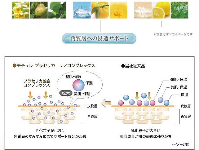 「フォードヘア化粧品 モチュレ プラセリカ」のナノテクノロジー。（イメージ図）