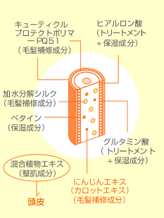 フォードヘア化粧品 ピュアファクター 特長成分（イメージ図）