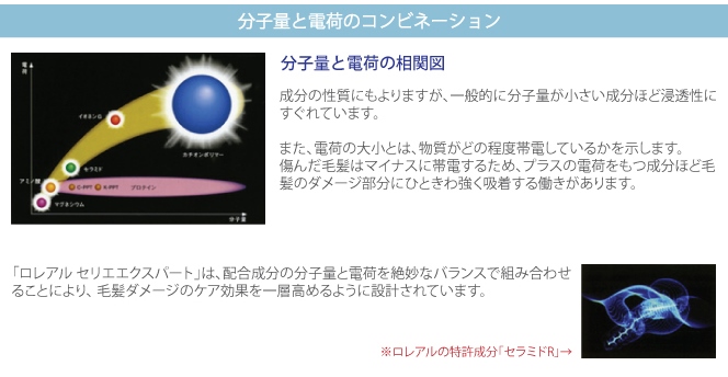 分子量と電荷のコンビネーション イメージ図