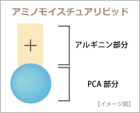 アミノモイスチュアリピッド【イメージ図】