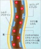 素材美を活かす4つのカテゴリー成分