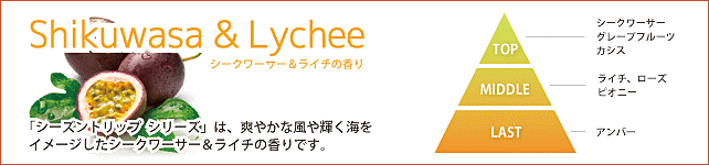 常夏のビーチで陽気にはじけるような気分を味わえる、シークワーサー＆ライチの香り