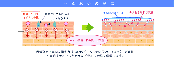 ニューウェイジャパン ナノアミノ ハンド&ネイルリペアベールクリームのうるおいの秘密