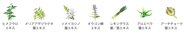 7種類の植物エキス/イメージ図