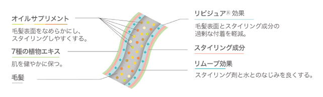 フォードヘア化粧品 noffy ノフィ スタイリングシリーズ/各種配合成分イメージ図