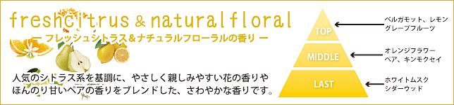 フォードヘア化粧品 noffy ノフィ スタイリングシリーズ/香りのイメージ図