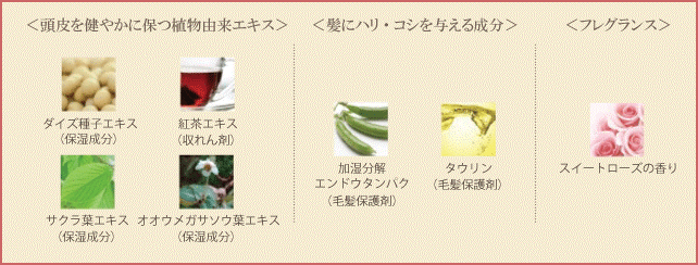 主な配合成分