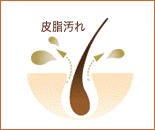 さらふわ髪のベースをつくる。