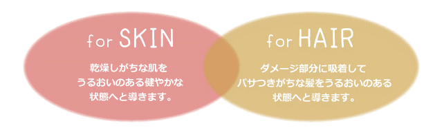 髪と肌、両方に使えて、どちらもバッチリ保湿ケアができちゃう、新発想の2WAYモイスチュアクリーム「フォードヘア化粧品 シーズントリップ モイスチュアクリーム」